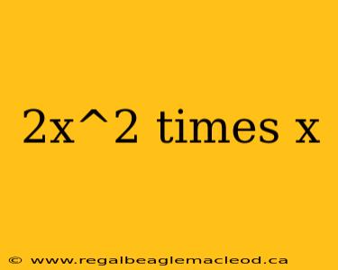 2x^2 times x