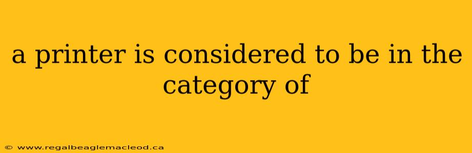 a printer is considered to be in the category of
