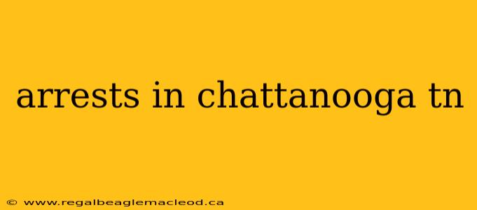 arrests in chattanooga tn