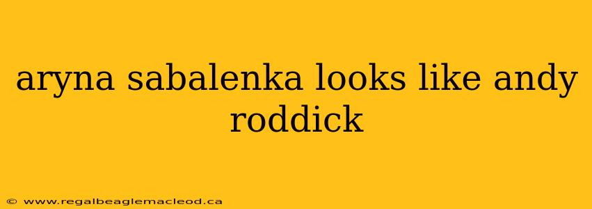 aryna sabalenka looks like andy roddick
