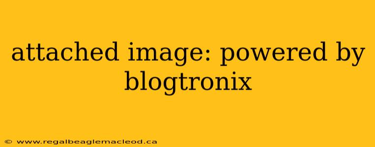 attached image: powered by blogtronix