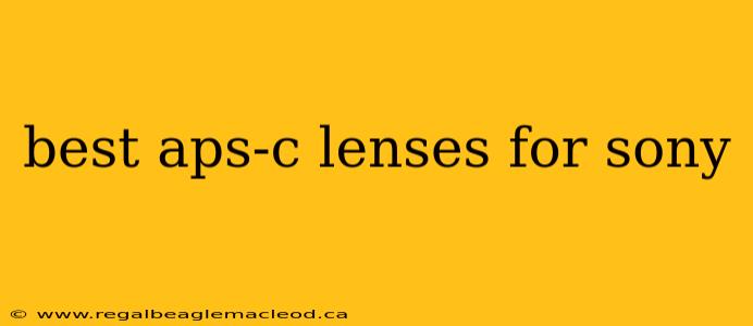 best aps-c lenses for sony