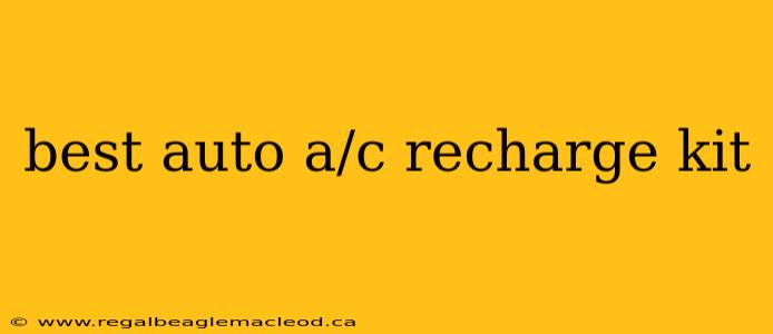 best auto a/c recharge kit