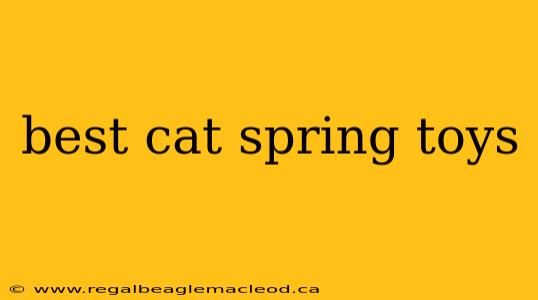 best cat spring toys