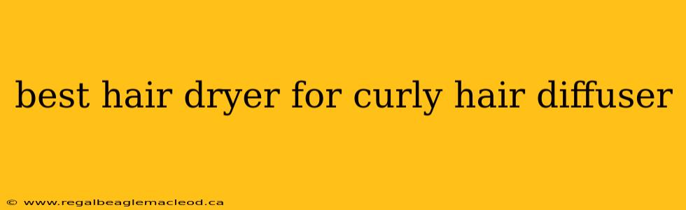 best hair dryer for curly hair diffuser