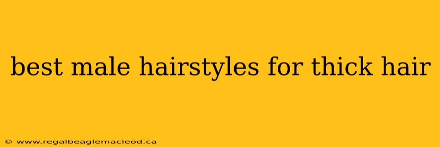 best male hairstyles for thick hair