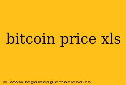 bitcoin price xls