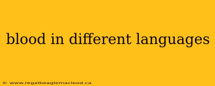 blood in different languages