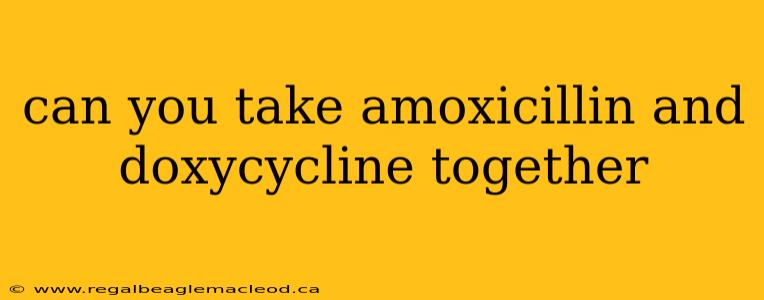 can you take amoxicillin and doxycycline together