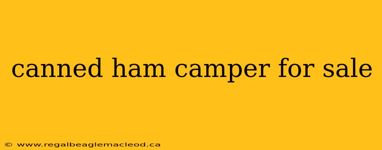 canned ham camper for sale