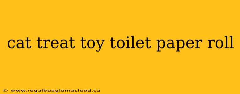 cat treat toy toilet paper roll