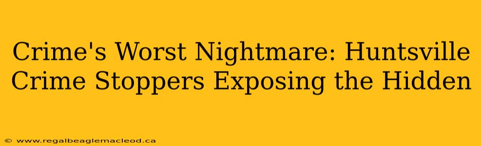 Crime's Worst Nightmare: Huntsville Crime Stoppers Exposing the Hidden