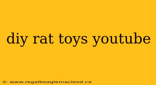 diy rat toys youtube