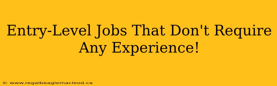 Entry-Level Jobs That Don't Require Any Experience!