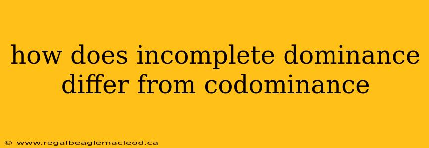 how does incomplete dominance differ from codominance