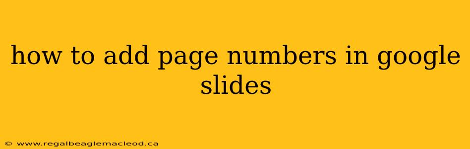 how to add page numbers in google slides
