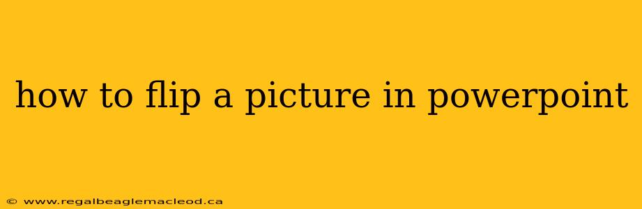 how to flip a picture in powerpoint