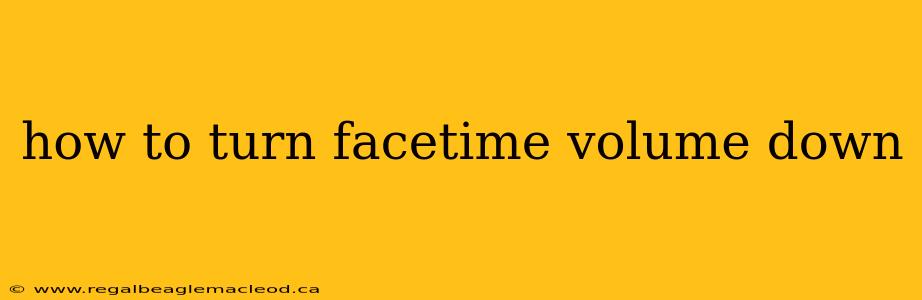 how to turn facetime volume down