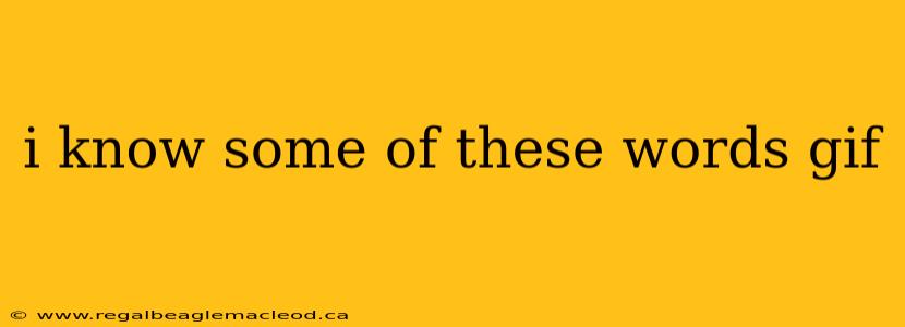 i know some of these words gif