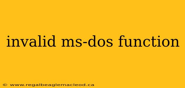 invalid ms-dos function