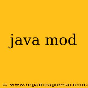 java mod