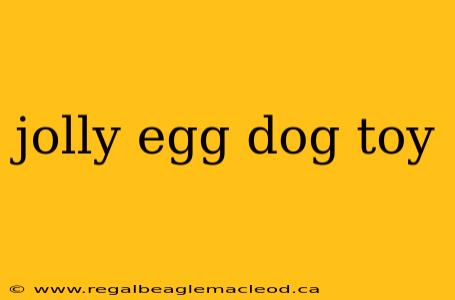 jolly egg dog toy