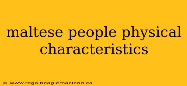 maltese people physical characteristics