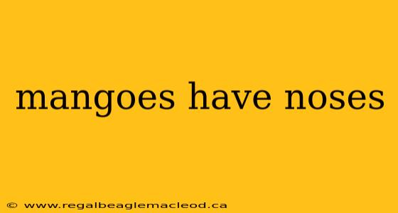 mangoes have noses