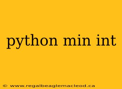 python min int