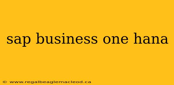 sap business one hana