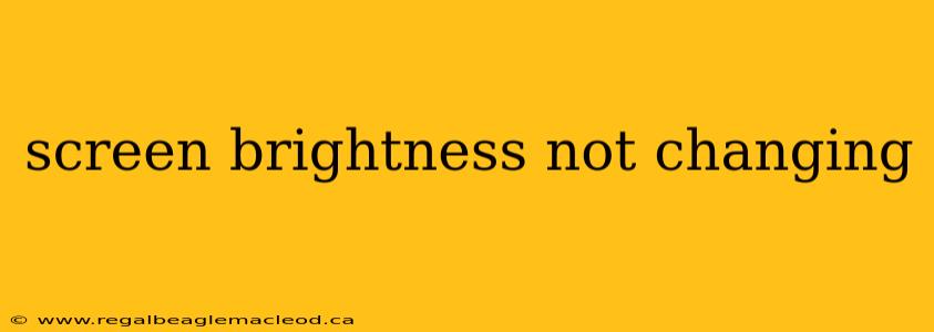 screen brightness not changing