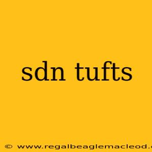 sdn tufts