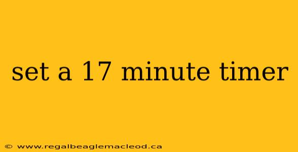 set a 17 minute timer