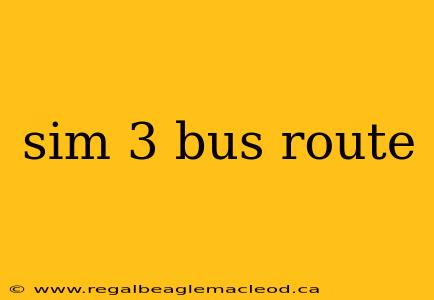 sim 3 bus route