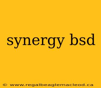 synergy bsd