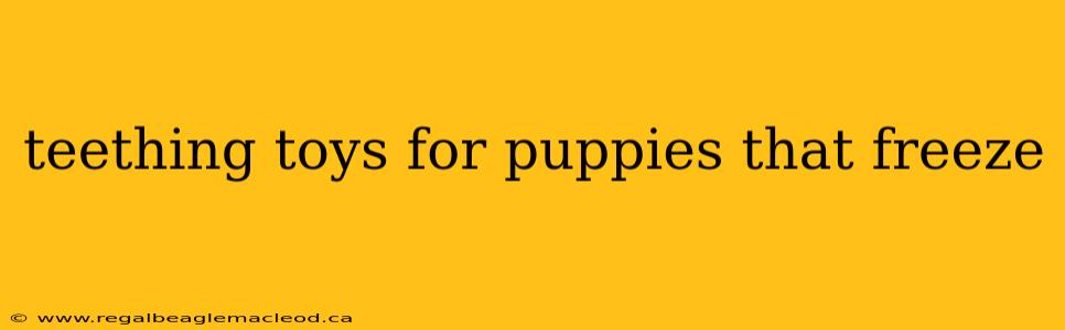 teething toys for puppies that freeze
