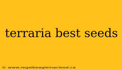 terraria best seeds