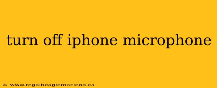 turn off iphone microphone