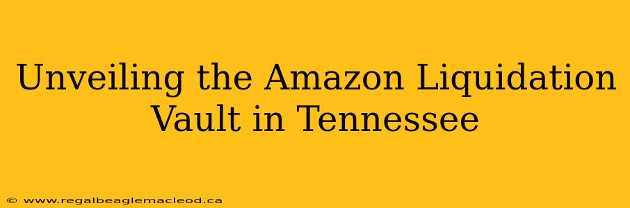 Unveiling the Amazon Liquidation Vault in Tennessee