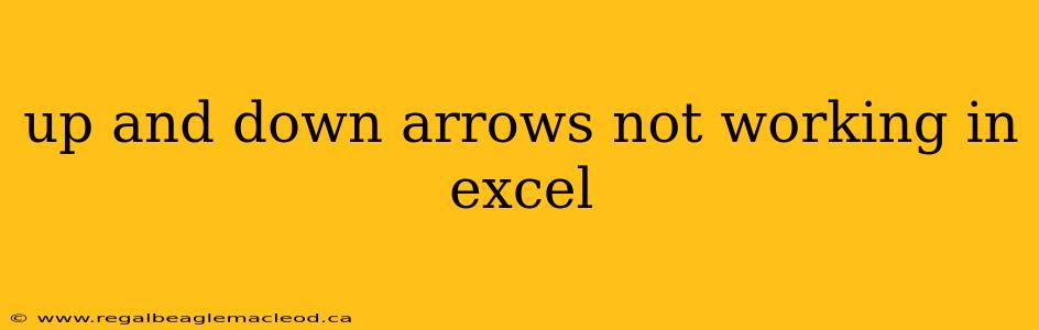up and down arrows not working in excel