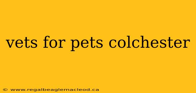 vets for pets colchester