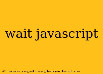 wait javascript