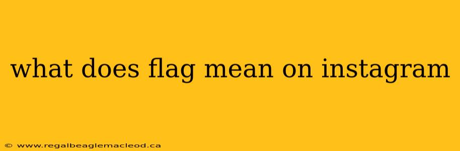 what does flag mean on instagram