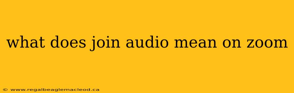what does join audio mean on zoom