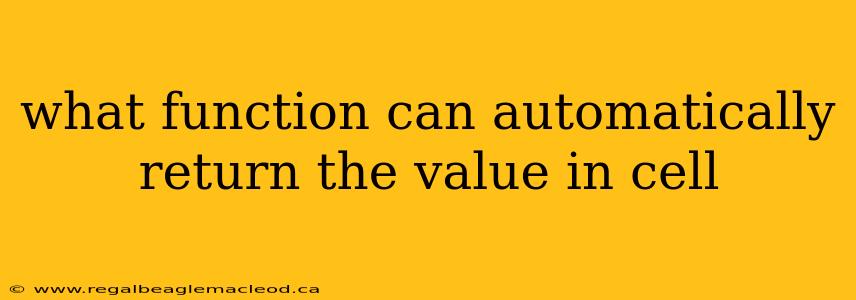 what function can automatically return the value in cell