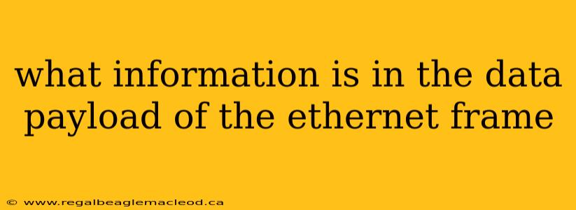 what information is in the data payload of the ethernet frame