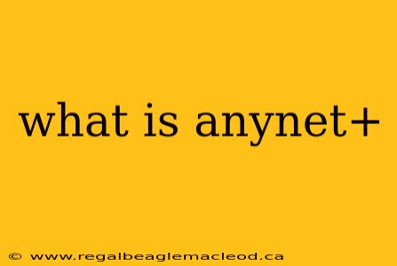 what is anynet+