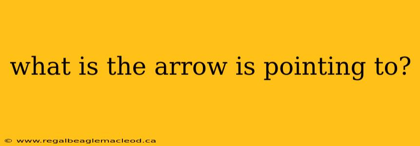 what is the arrow is pointing to?