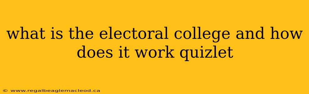 what is the electoral college and how does it work quizlet