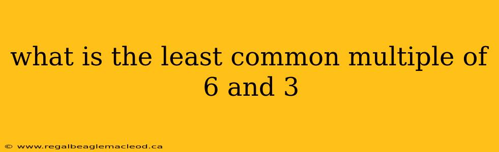 what is the least common multiple of 6 and 3